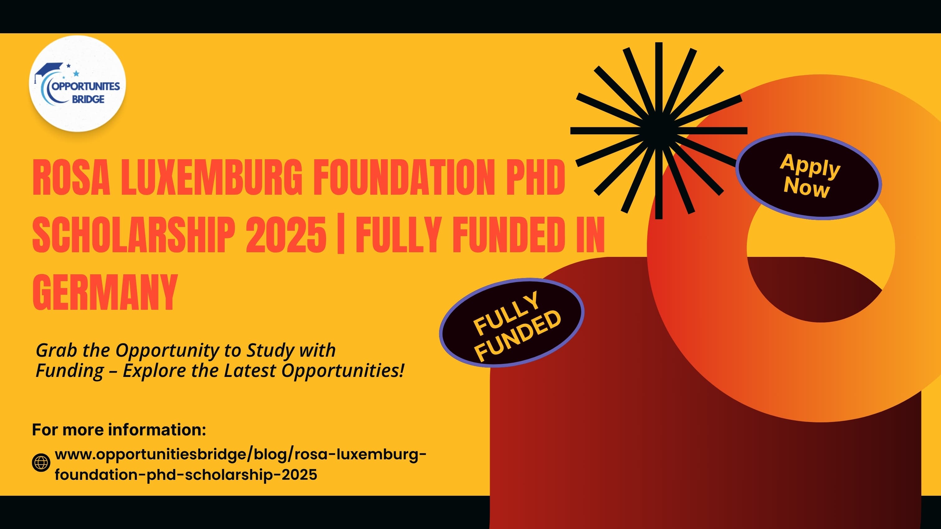 Rosa Luxemburg Foundation PhD Scholarship 2025 | Fully Funded in Germany